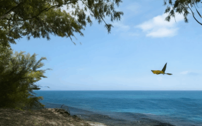 Ethical Travel and Tourism: Everything You Need to Know to Be an Ethical Traveller