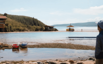 The Ultimate Guide to Volunteering in Remote Areas: Perfect Roles for Introverts and Ambiverts
