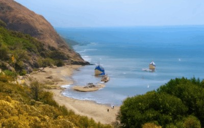 How to Navigate Ethical Travel Destinations with Expert Guides