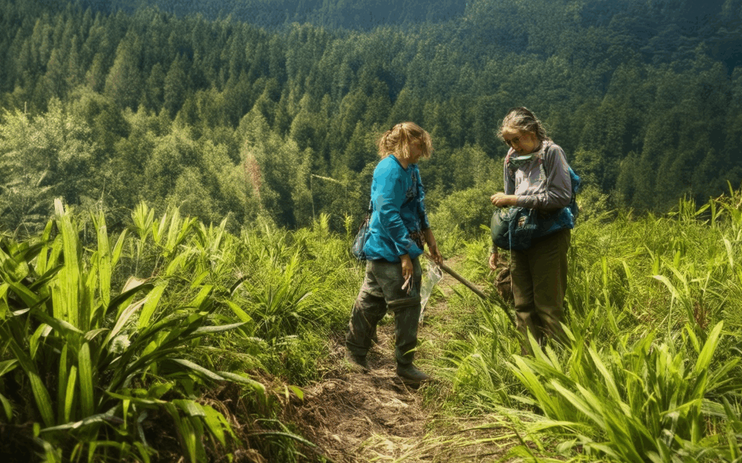 Participate in Ecotourism Volunteering: A Guide to Eco Volunteering Opportunities and Benefits