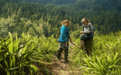 Participate in Ecotourism Volunteering: A Guide to Eco Volunteering Opportunities and Benefits