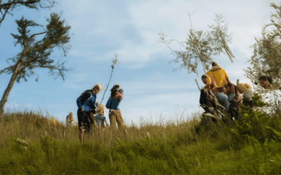 Ignite Your Passion: Top Volunteer Opportunities for Nature Conservation Near You