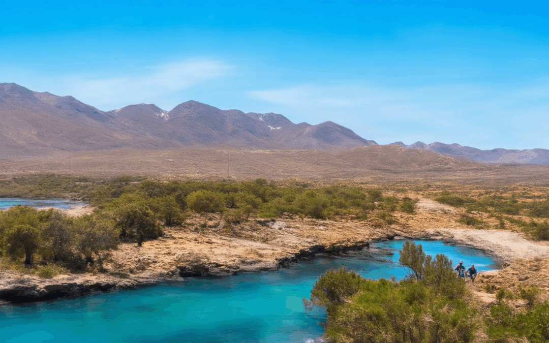 Ethical Travel Tips: Discovering the Most Sustainable Ways to Explore Responsibly