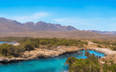 Ethical Travel Tips: Discovering the Most Sustainable Ways to Explore Responsibly