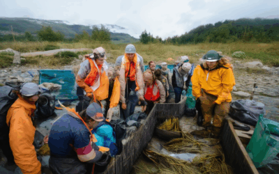 Top Environmental Service Trips: Answering Your Volunteering Questions