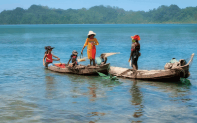 Eco-Friendly Volunteer Tourism: Examples, Destinations, and Companies to Explore