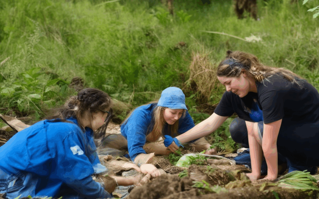 How to Discover the Best Eco-Volunteering Programs Near You