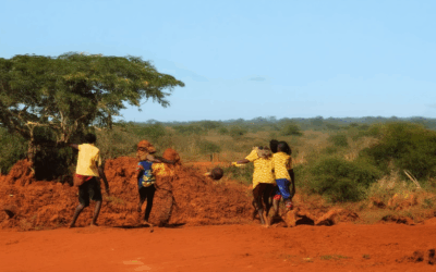 Uncover the Best Volunteer Opportunities in Africa: Your Complete Guide to Volunteering Across the Continent